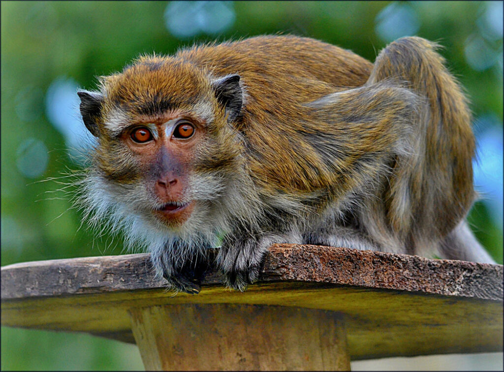 ZOO Tábor