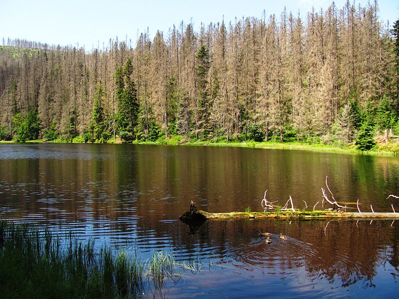 Jezero Laka