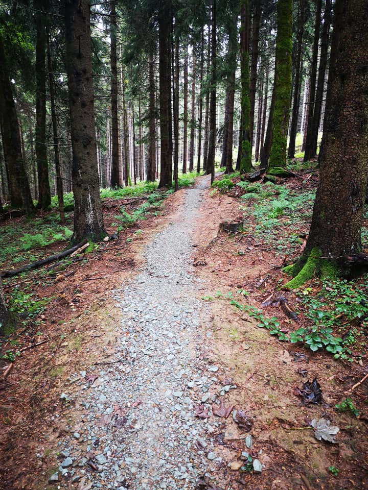 Singletrack Zdobnice